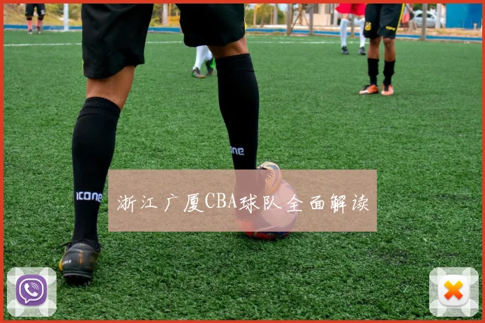 浙江广厦CBA球队全面解读