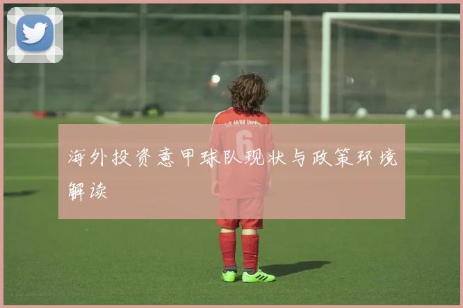 海外投资意甲球队现状与政策环境解读